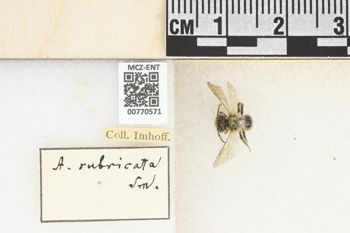 Media type: image;   Entomology 770571 Aspect: Labels
